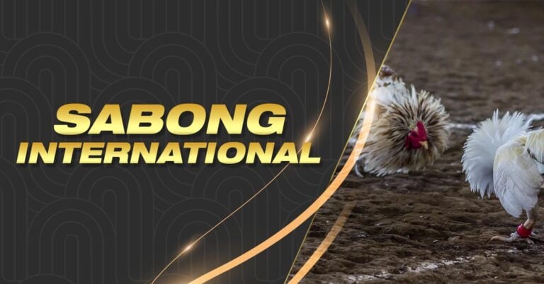 ph168 casino what is bet slip in 1xbet